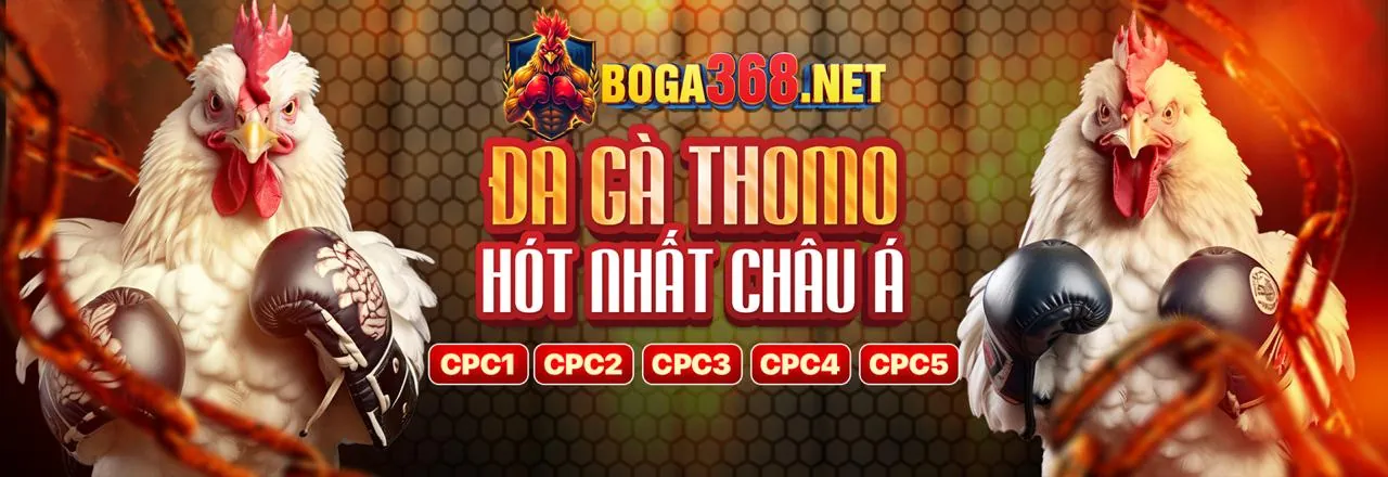 Tổng quan nền tảng cá cược mksport code